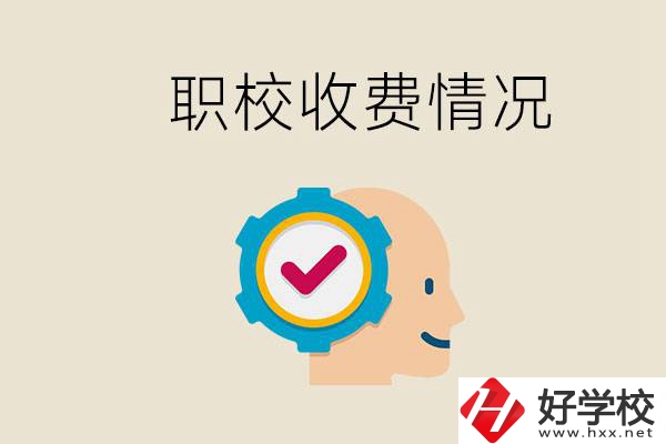 湖南的職校是怎么收費的？民辦學(xué)校一年學(xué)費要多少？