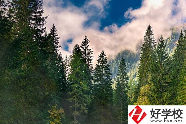 永州東方科技職業(yè)學校有哪些辦學特色？