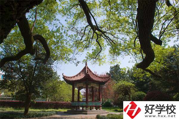 長沙市望城區(qū)職業(yè)中等專業(yè)學校的官網(wǎng)是什么？