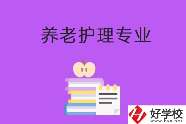 湘西有哪些職?？梢詫W習養(yǎng)老護理專業(yè)？
