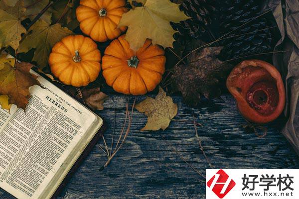 臨湘市職業(yè)中專開設哪些熱門專業(yè)、就業(yè)方向