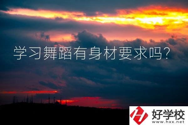 懷化有可以學(xué)習(xí)舞蹈的中專學(xué)校嗎？有身材要求嗎？