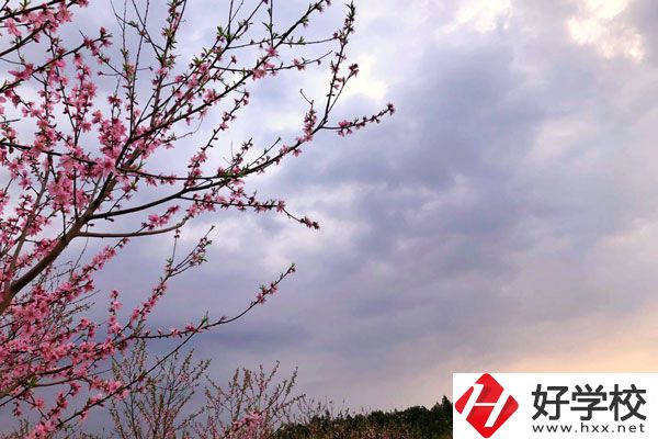 邵陽市瀟湘中等職業(yè)技術(shù)學(xué)校怎么樣？收費(fèi)標(biāo)準(zhǔn)如何？