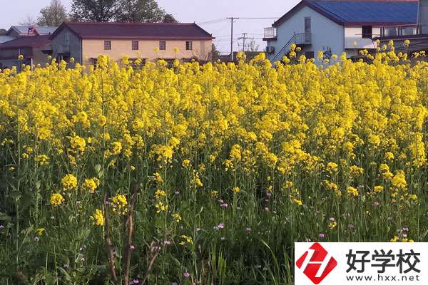湖南省有哪些比較好的技校？熱門專業(yè)有哪些？