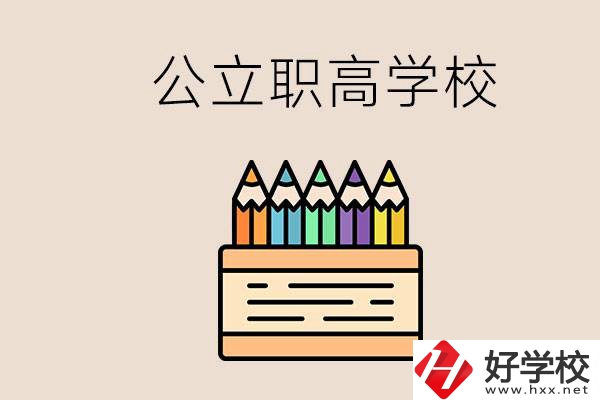 岳陽的公立職高學校有哪些？學費一般是多少？
