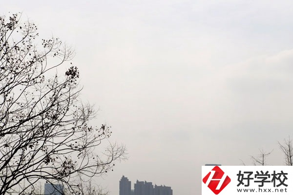邵陽市就業(yè)前景比較好的三所中職學(xué)校，看完就有收獲