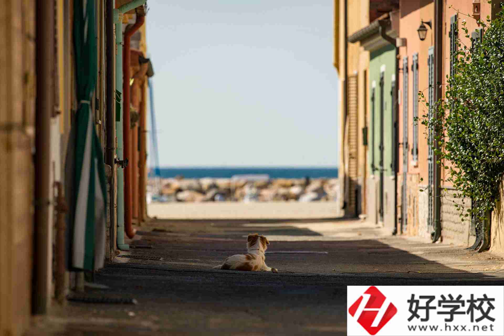益陽市四通電腦中等專業(yè)學(xué)校什么專業(yè)強(qiáng)？