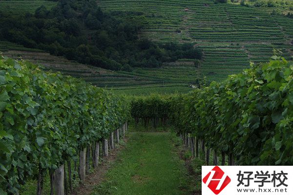 中鋼集團(tuán)衡陽(yáng)重機(jī)技工學(xué)校