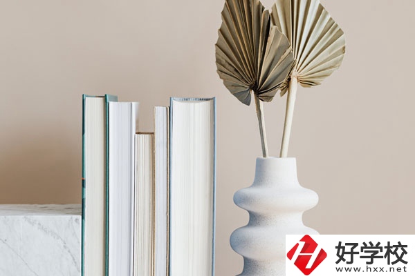 懷化職業(yè)技術(shù)學(xué)院(中職部)好不好，值得選擇嗎？