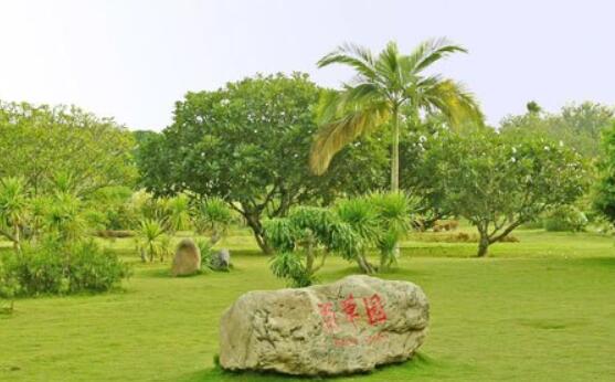 西雙版納職業(yè)技術學院