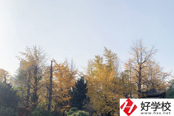 湘潭縣就業(yè)職業(yè)技術學校有哪些專業(yè)？就業(yè)前景怎么樣？