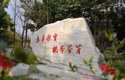 臨渭區(qū)農業(yè)技術學校