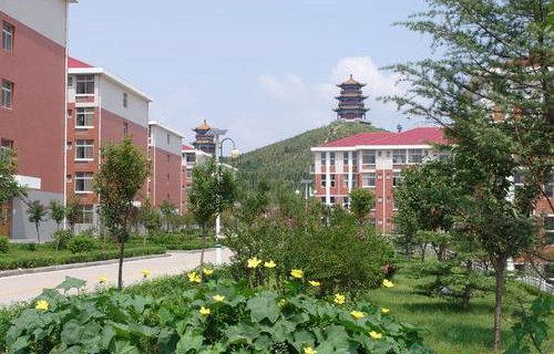 萊蕪職業(yè)技術(shù)學院