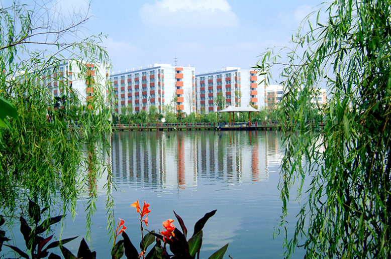 四川城市技師學(xué)院教學(xué)環(huán)境這些怎么樣啊？