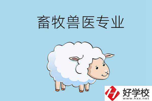 畜牧獸醫(yī)專業(yè)好就業(yè)嗎？湖南哪些技校開設了該專業(yè)？