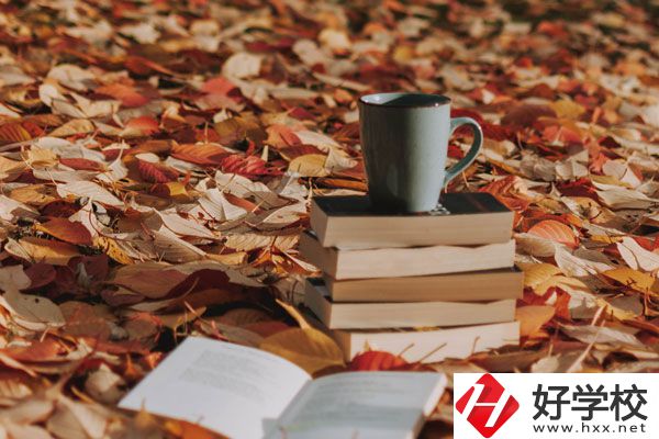 中方縣職業(yè)中等專(zhuān)業(yè)學(xué)校有什么專(zhuān)業(yè)？好不好？