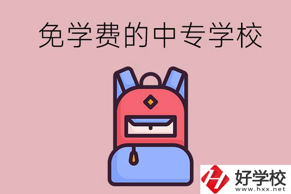 郴州市的中專(zhuān)哪些是免學(xué)費(fèi)的？