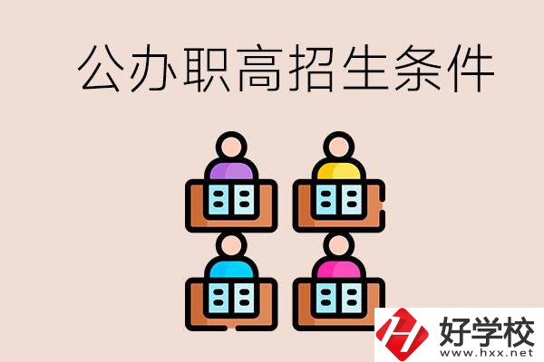 邵陽市有哪些公辦職高？學校的招生條件是什么？