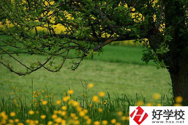 在邵陽讀中職有前途嗎？如何選擇學校呢？
