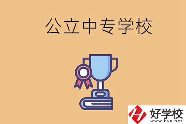 常德的公立中專學(xué)校有哪些？有什么特色？