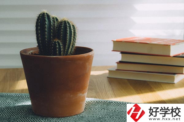 桃江縣職業(yè)中專學校辦學條件怎么樣？有哪些特色？