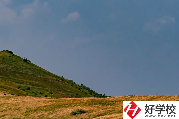 想在常德學動漫設計專業(yè)，有合適的學校嗎？