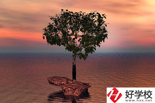 湖南省中南藝術學校收費標準怎么樣？