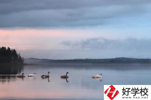 湖南有色金屬中專學(xué)校的專業(yè)、就業(yè)方向