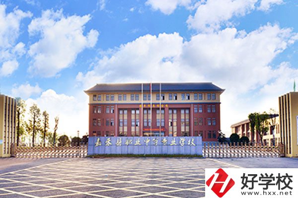嘉禾縣職業(yè)中等專業(yè)學(xué)校實(shí)力如何？