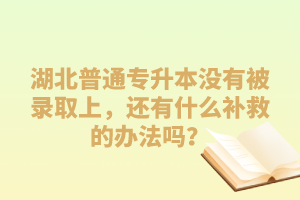 湖北普通專升本沒有被錄取上，還有什么補(bǔ)救的辦法嗎？