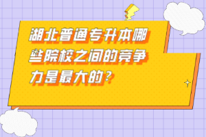 湖北普通專升本哪些院校之間的競爭力是最大的？