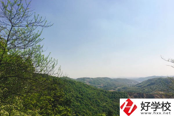 株洲人工智能職業(yè)技術(shù)學(xué)校哪個專業(yè)更好？
