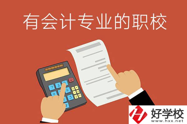 株洲哪些公立職校有會(huì)計(jì)專業(yè)？