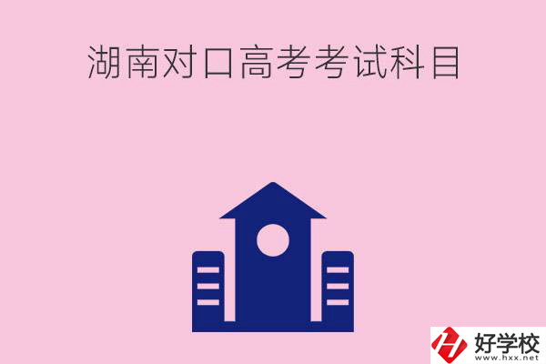 湖南中職生對(duì)口高考考試科目都有哪些？考試難不難？
