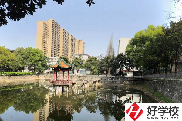 邵陽這些中職學校，質量特別高!