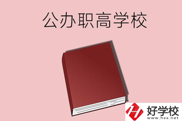 湖南有什么公辦的職高學(xué)校？