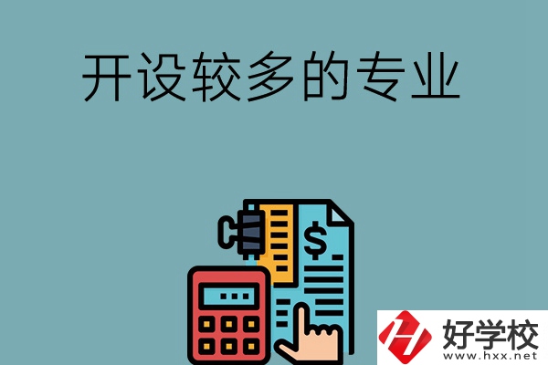 湖南的中職學(xué)校開設(shè)較多的專業(yè)是哪些？