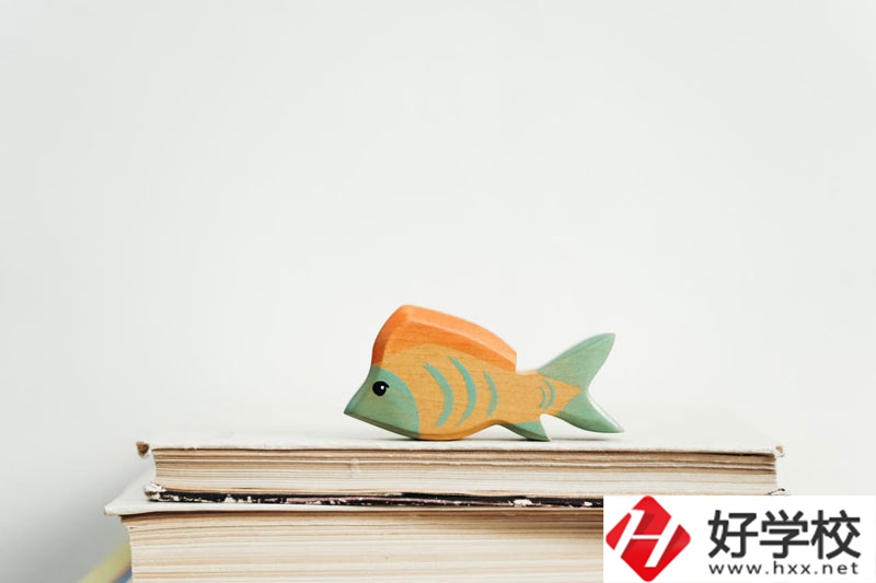 長(zhǎng)沙市英藍(lán)中等職業(yè)學(xué)校學(xué)費(fèi)多少？貴不貴？