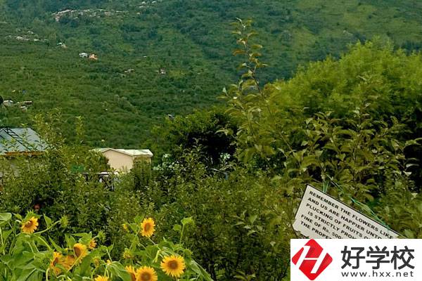 長(zhǎng)沙公辦中職學(xué)校好不好？都有哪些學(xué)校？