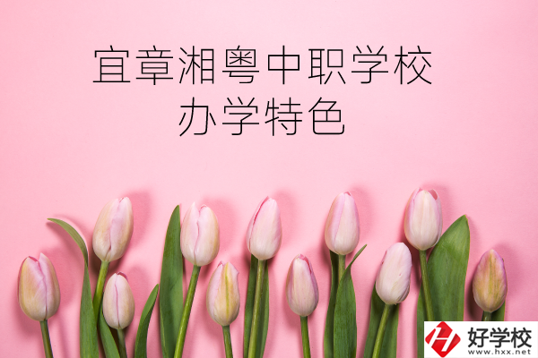 宜章湘粵中職學校在哪？有什么辦學特色？