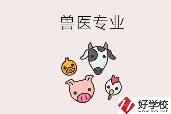 湖南哪些職校能學(xué)獸醫(yī)專業(yè)？學(xué)獸醫(yī)前景怎么樣？