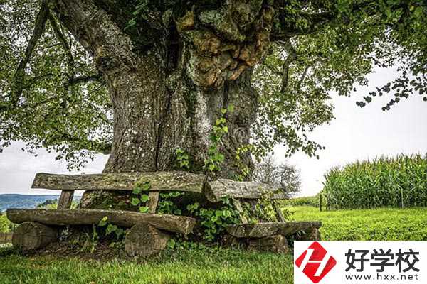 湖南特教中等專業(yè)學校有哪些特色專業(yè)？有資助政策嗎？