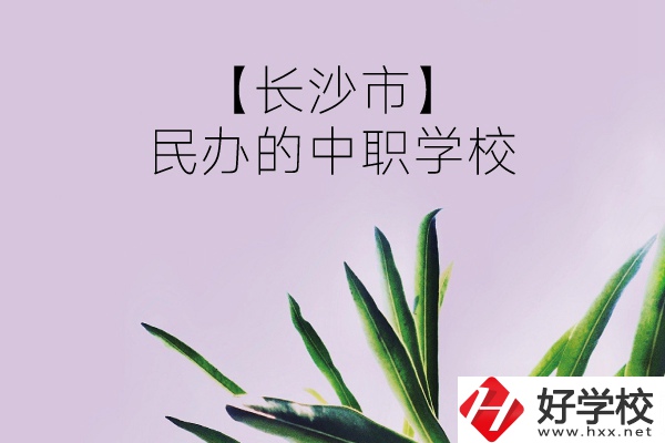 長(zhǎng)沙市有哪些民辦的中職學(xué)校？