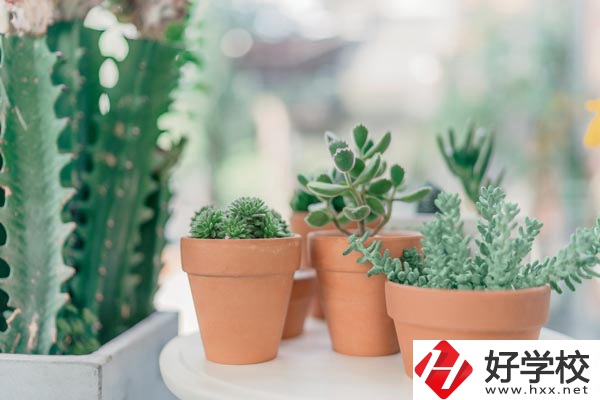瀏陽市三聯(lián)工業(yè)學(xué)校辦學(xué)條件怎么樣？