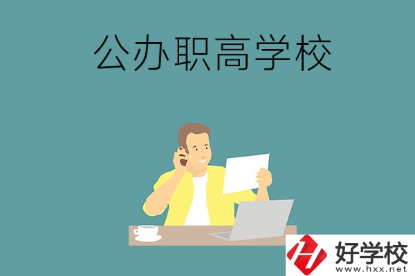 婁底市有哪些公辦的職高學校？