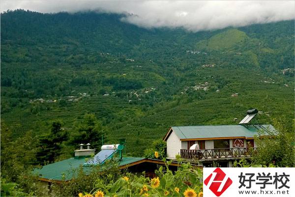益陽大誠職業(yè)學校的專業(yè)怎么樣？就業(yè)方向如何？