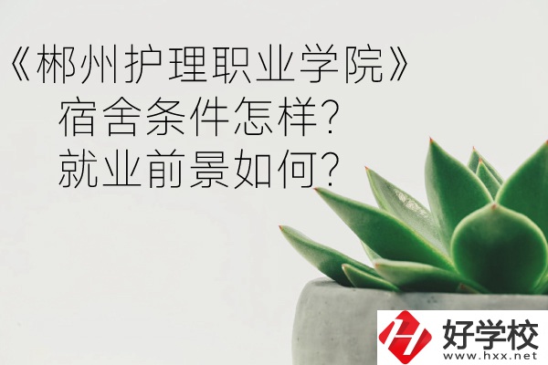 郴州護(hù)理職業(yè)學(xué)院宿舍條件怎樣？就業(yè)前景如何？