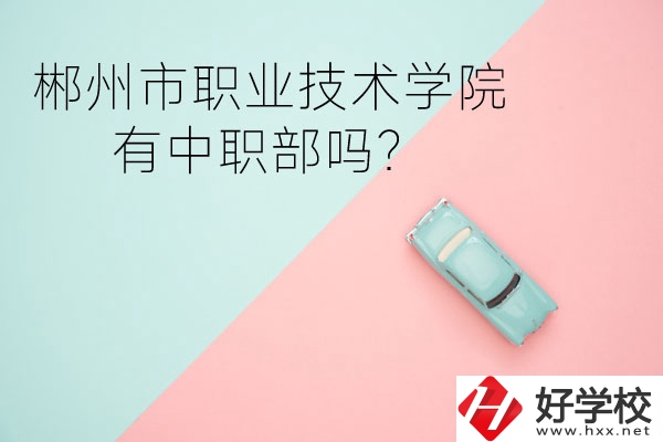 郴州市職業(yè)技術學院有中職部嗎？