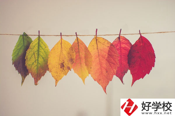 長(zhǎng)沙益立中等職業(yè)學(xué)校有哪些特色專業(yè)？