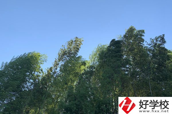 張家界協(xié)力技工學(xué)校好不好？就業(yè)前景怎么樣？